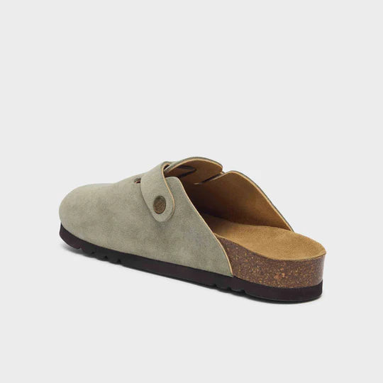 Scholl - Fae - Salvia
